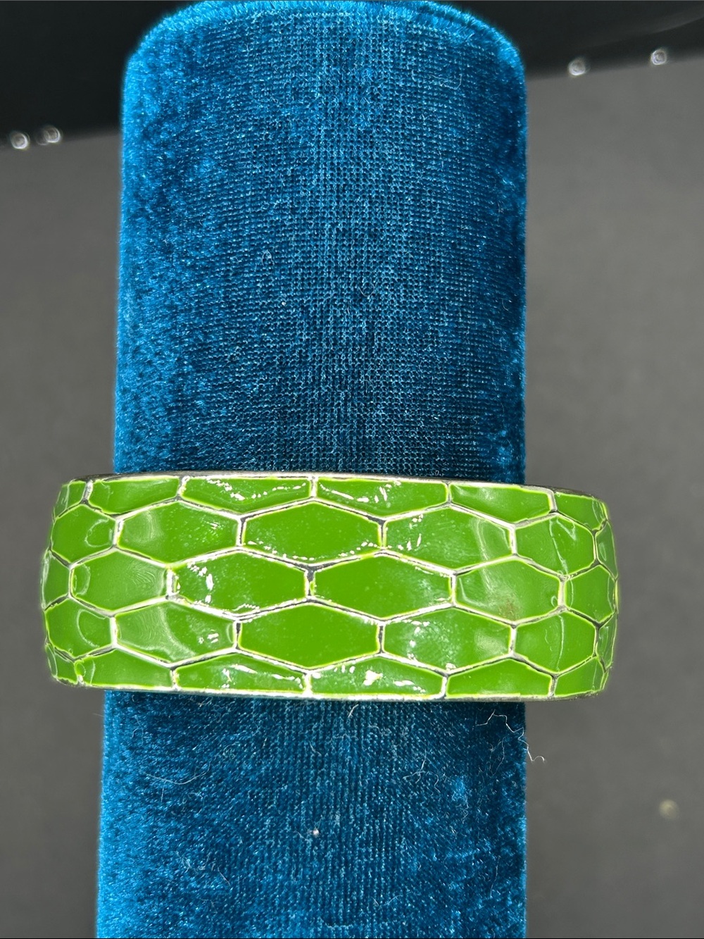 Green Reptile-Pattern Enclosure Ring For Pets Reptile